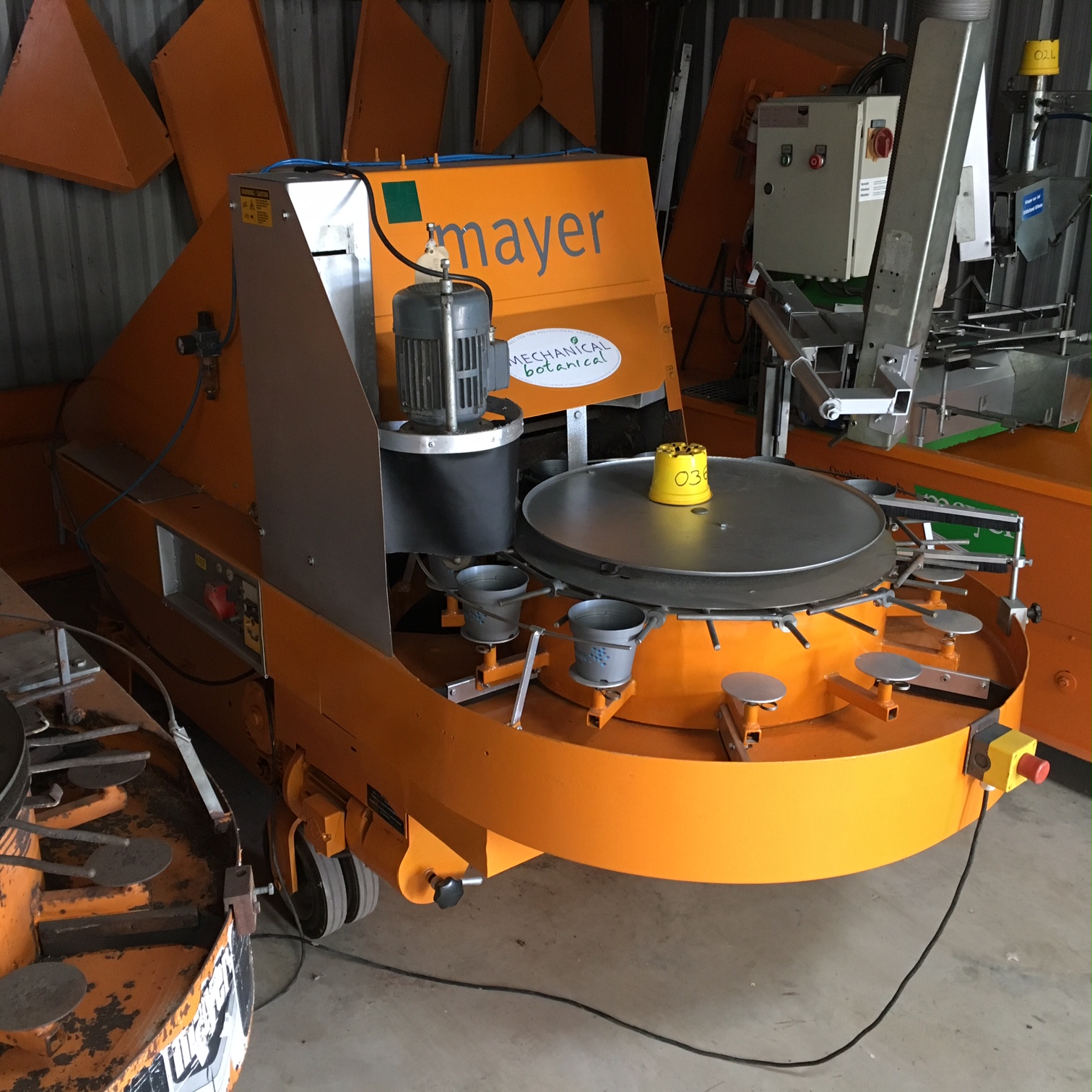 Mayer Potstar - Image 4