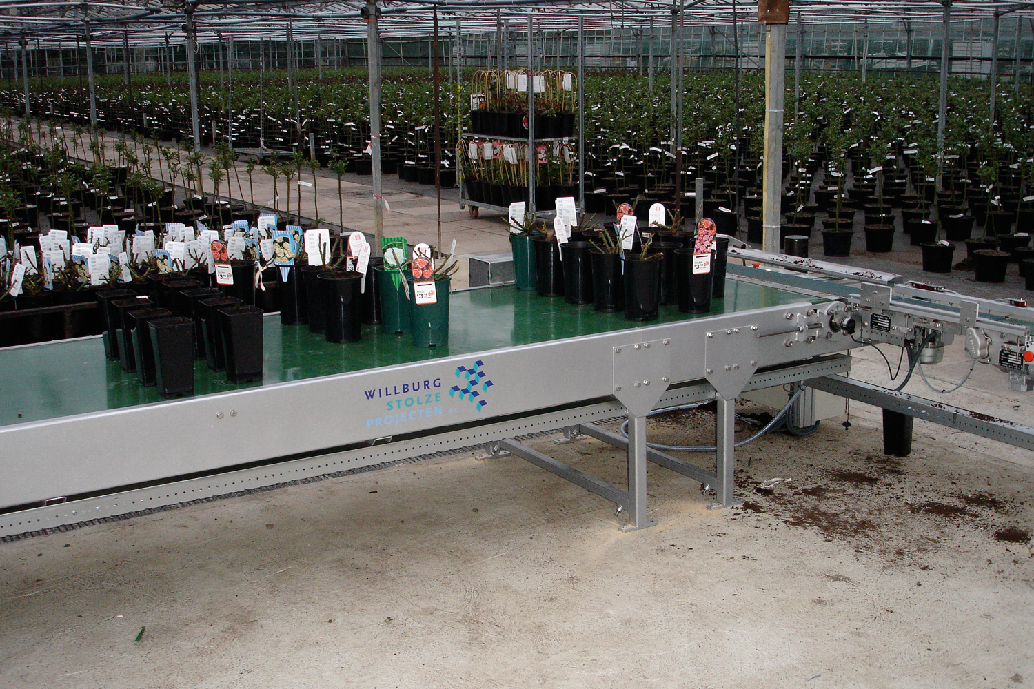Willburg Pot Buffer System - Image 7