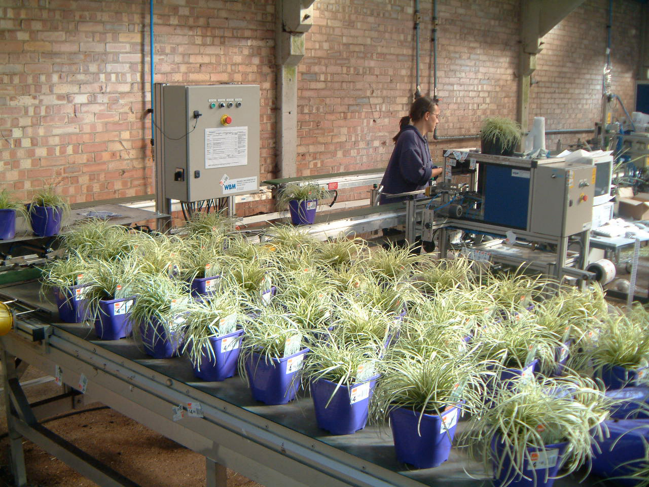 Willburg Pot Buffer System - Image 6