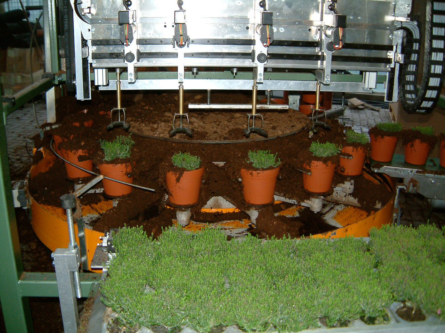 TTA Midi+ Transplanter - Image 7